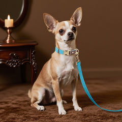 Didog nylon-lining closeup emphasizes skin-friendly comfort with a smooth, gentle feel