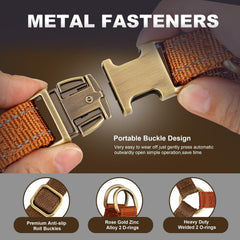 Didog Step-In harness chest strap closeup demonstrates proper fit and chest support.