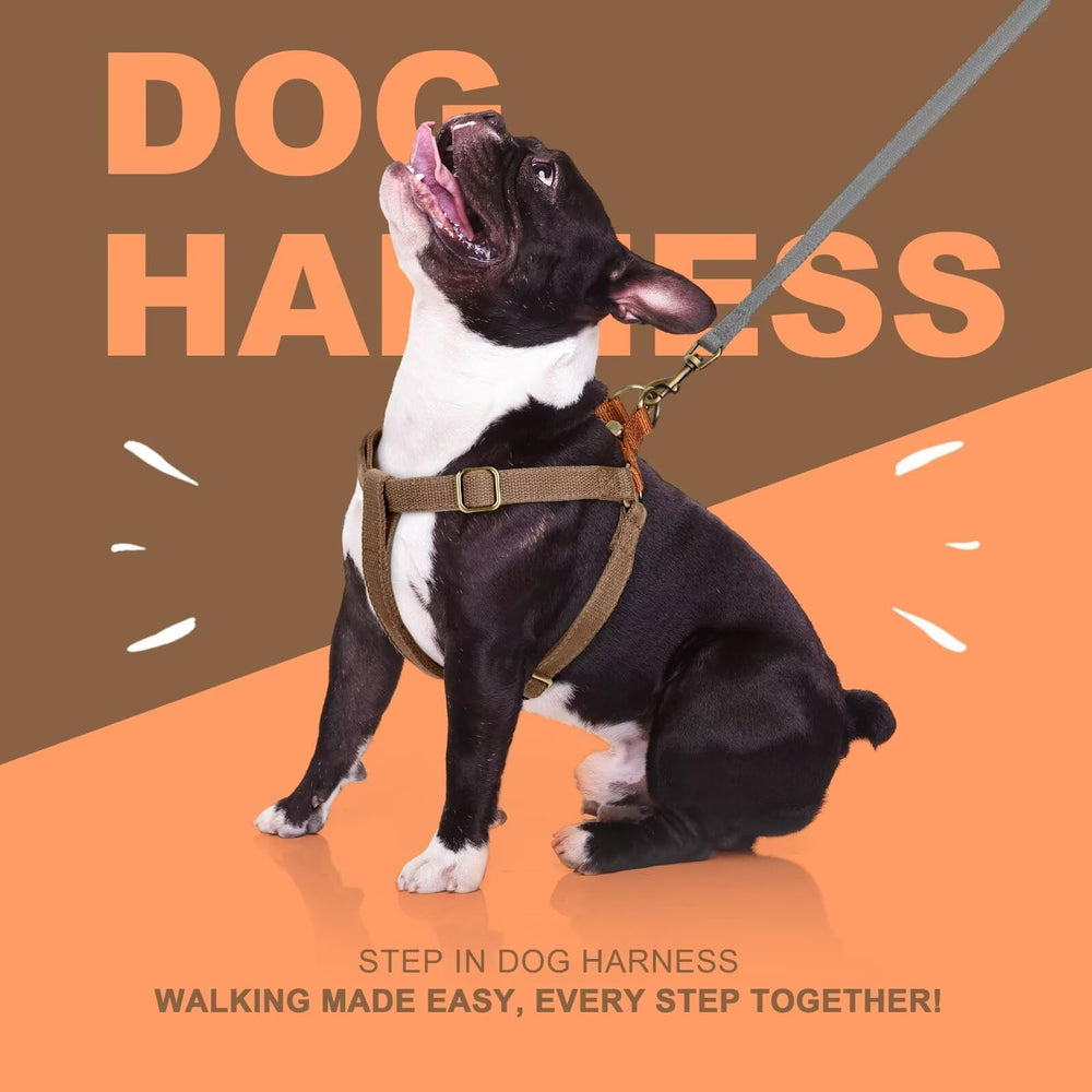 Didog Step-In harness durable nylon fabric withstands daily adventures.