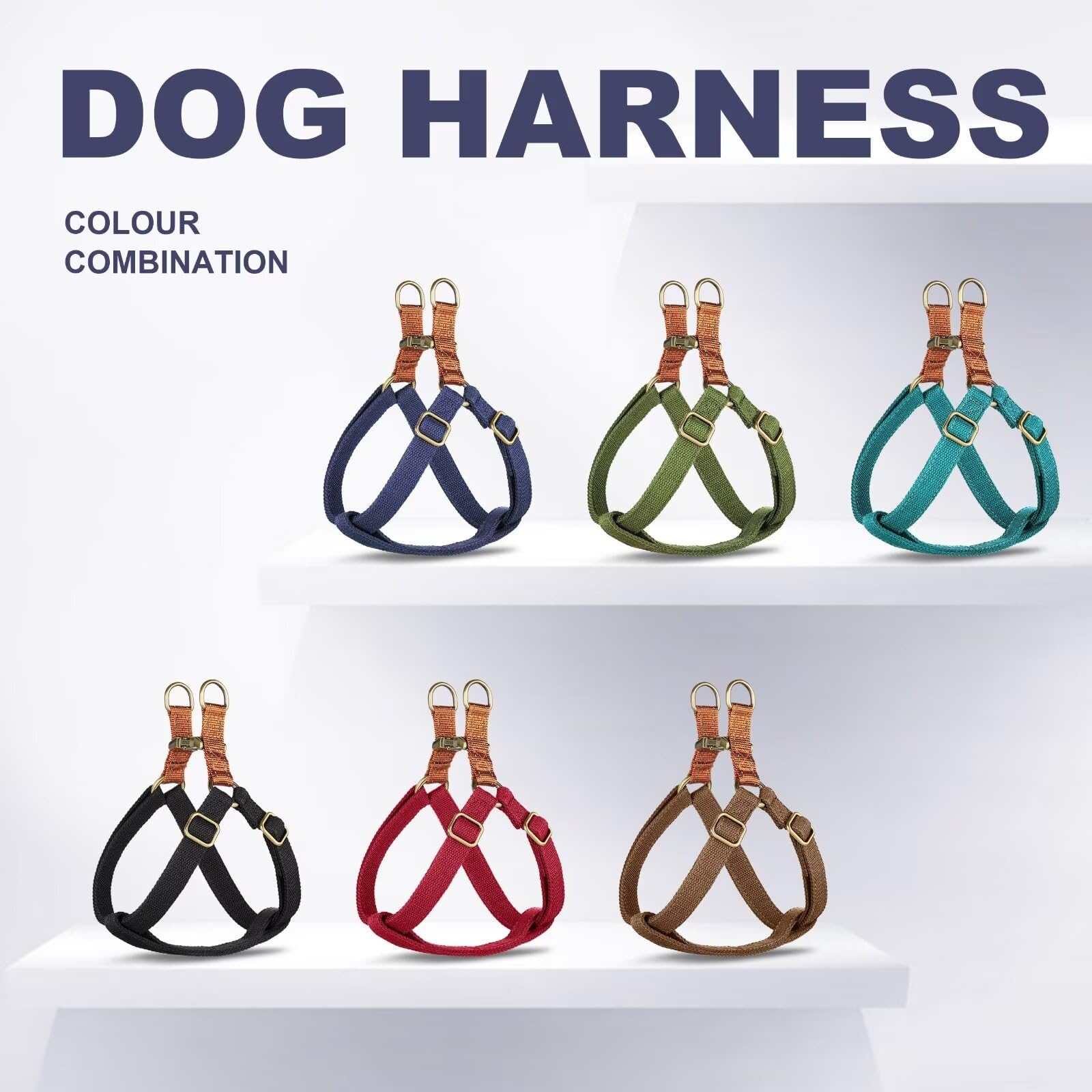 Didog Step-In harness small dog walking use illustrates smooth daily outings.