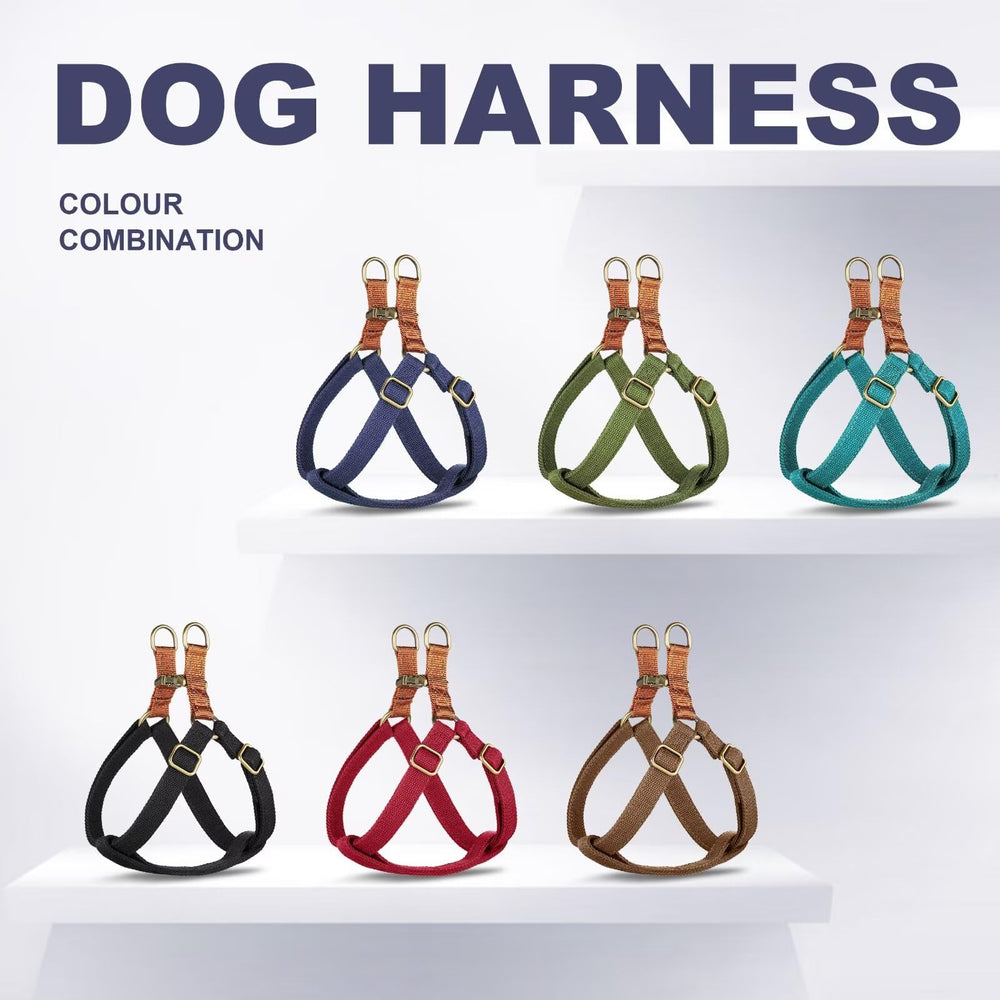 Didog Step-In harness small dog walking use illustrates smooth daily outings.