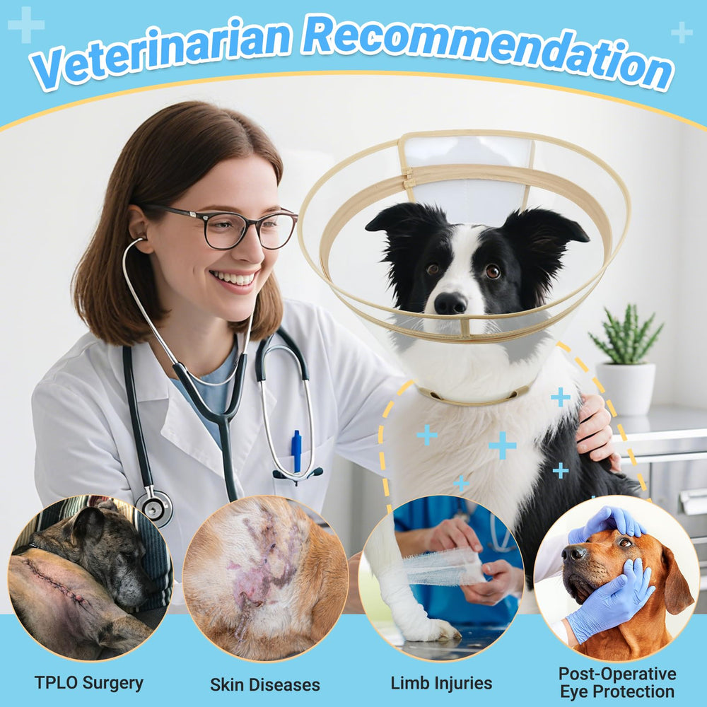 Didopet dog cone-care-tips highlights simple upkeep and storage between uses.