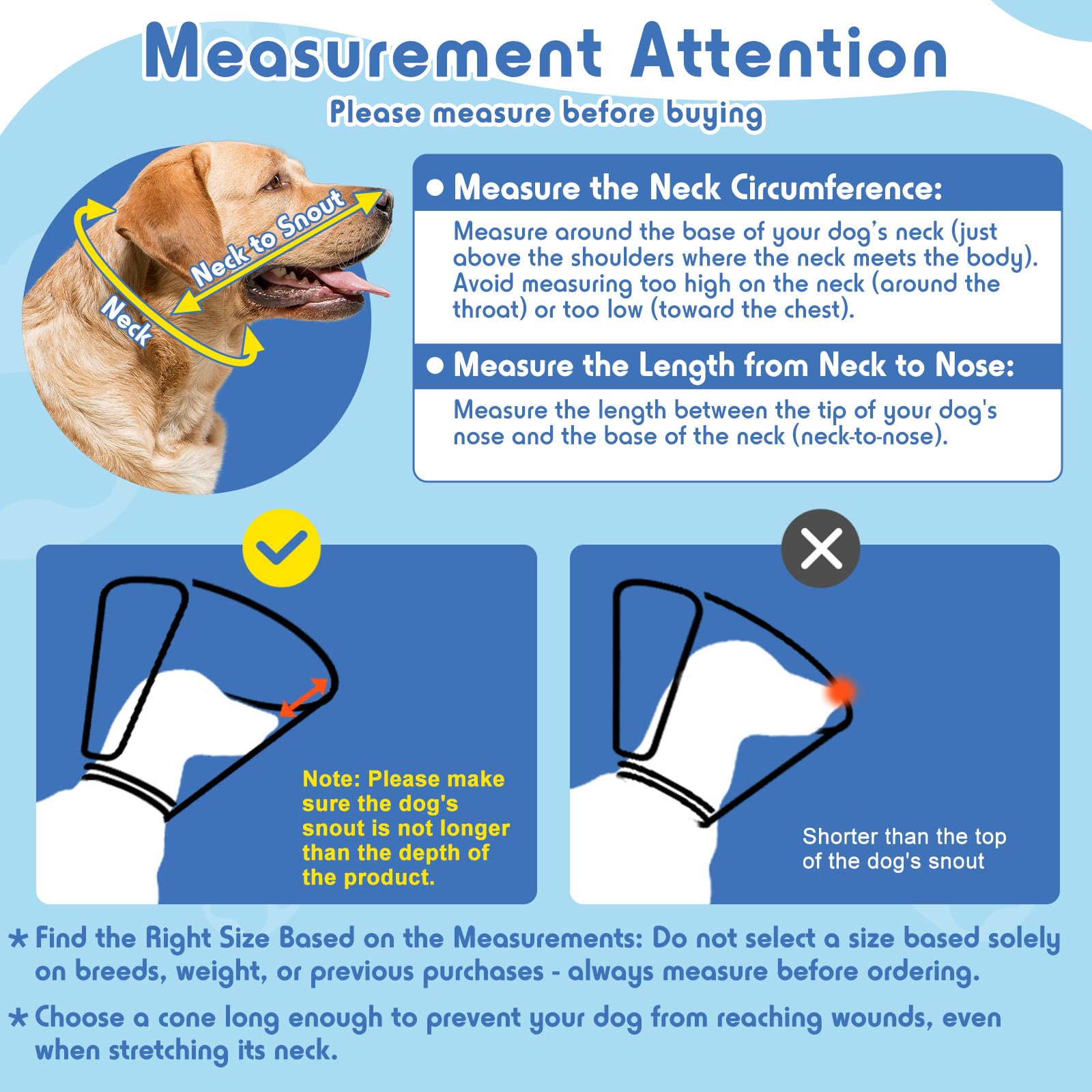 Didopet dog cone in-use allows dogs to eat and drink while recovering