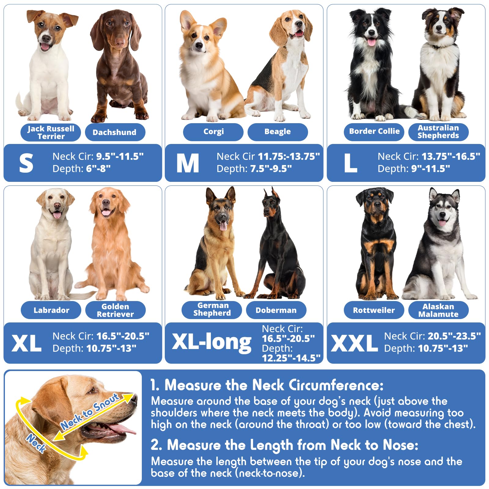 Didopet dog cone patented design supports eating and drinking during recovery