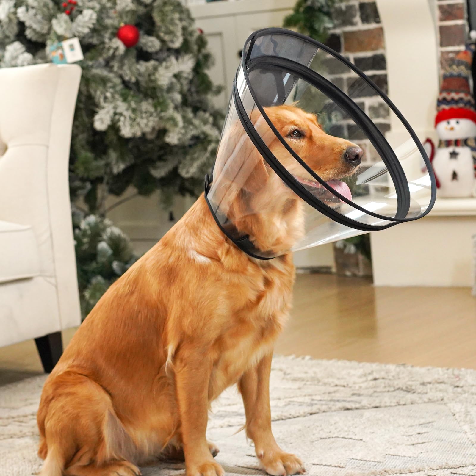 Didopet dog cone soft padding provides comfortable wear for sensitive skin