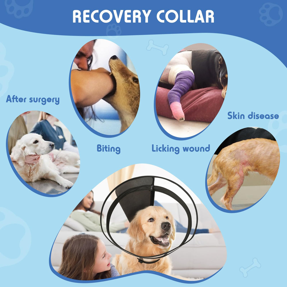 Didopet dog cone storage care guide keeps shape and cleanliness