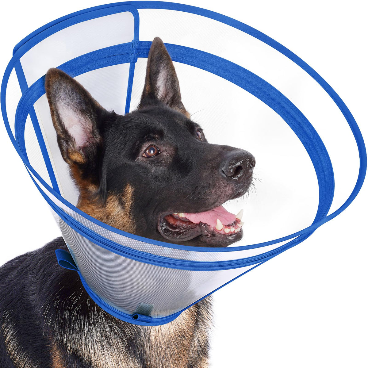 Didopet XXL blue dog cone front view protects wounds while preserving full vision.