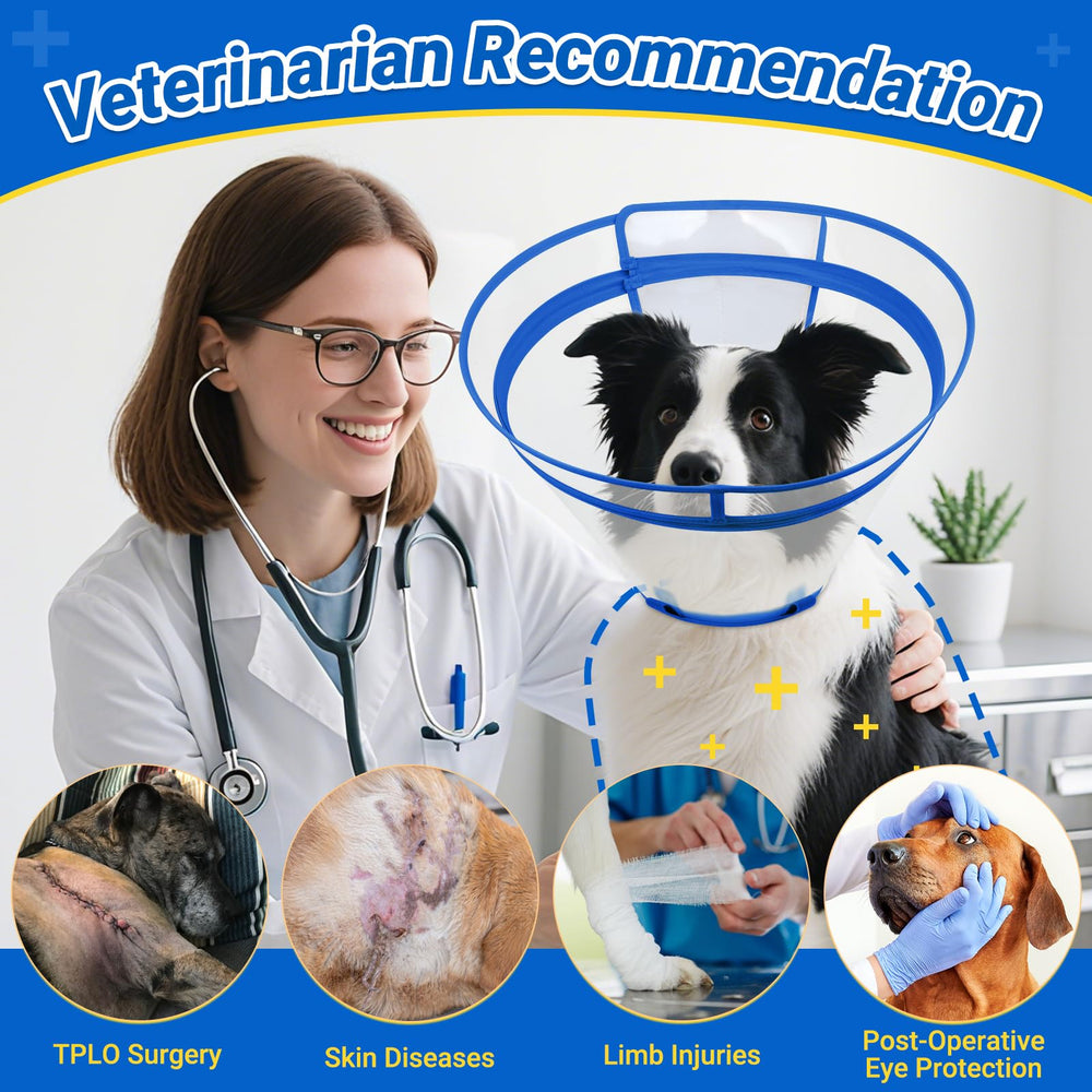Didopet clear blue design helps dogs stay aware of surroundings during rest.
