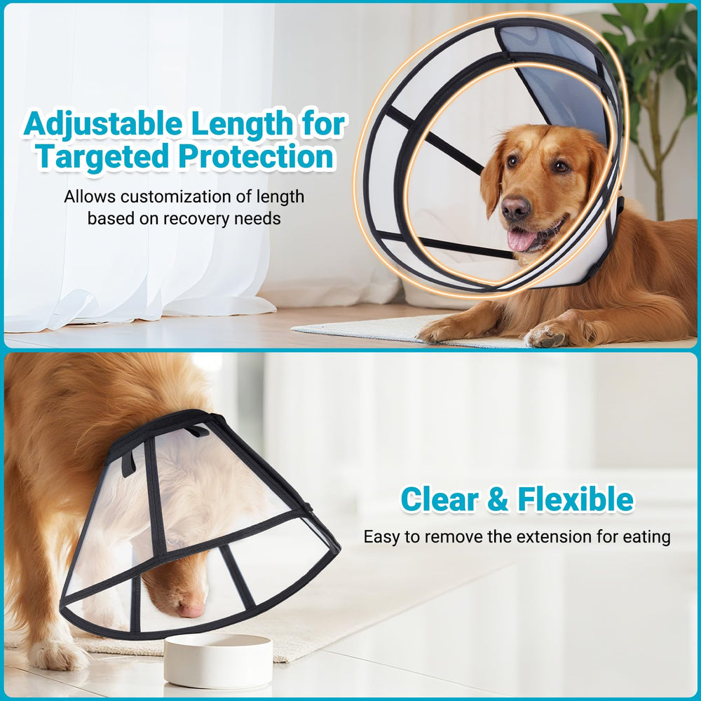 Didopet transparent recovery collar lets dogs see surroundings during healing