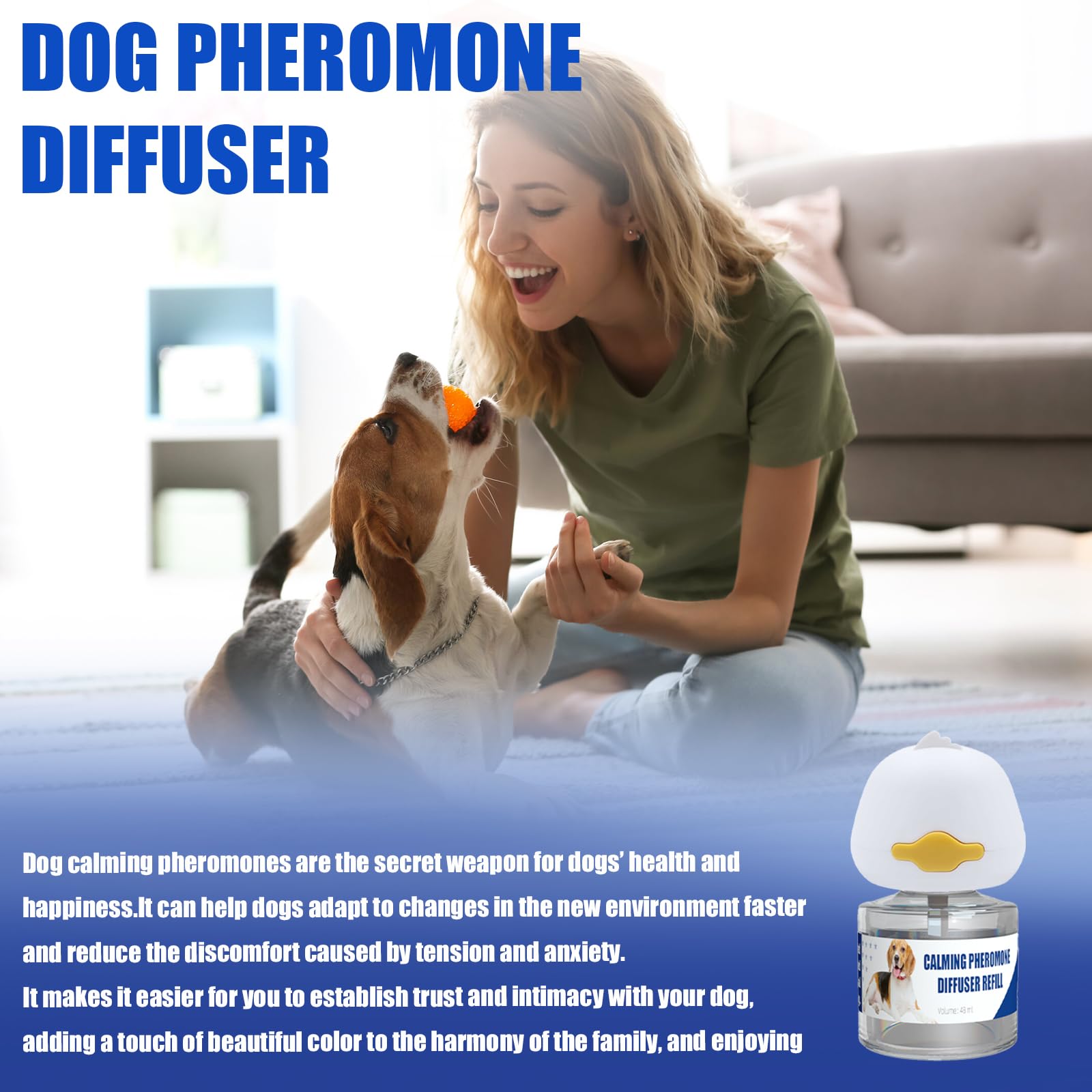 Die-matic calming set fosters peaceful home moments for dogs and owners