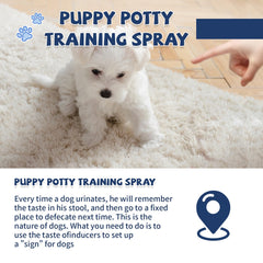 Die-matic indoor-outdoor-potty-spot demonstrates versatile training use.