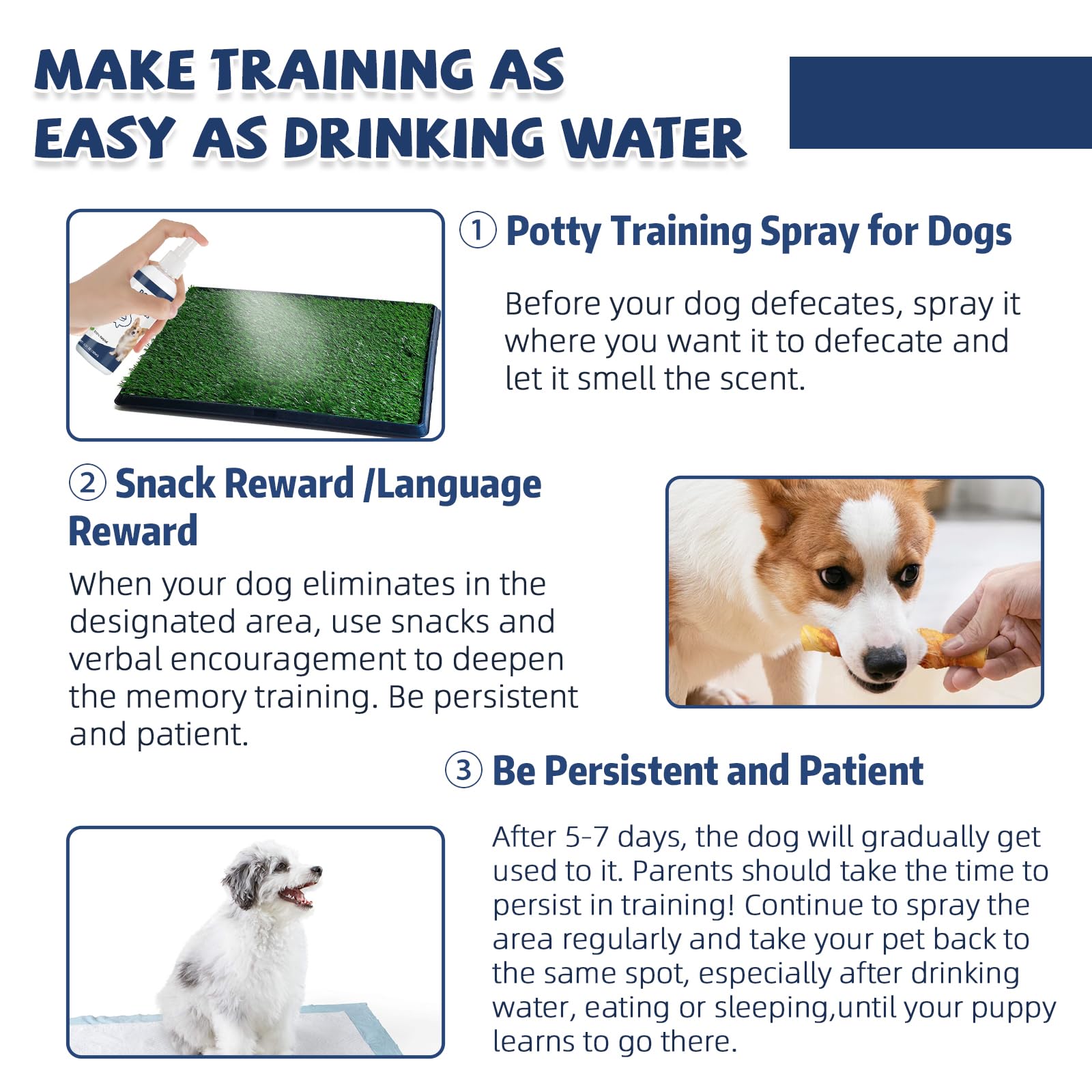 Die-matic praise and treat reinforcement during potty training session.