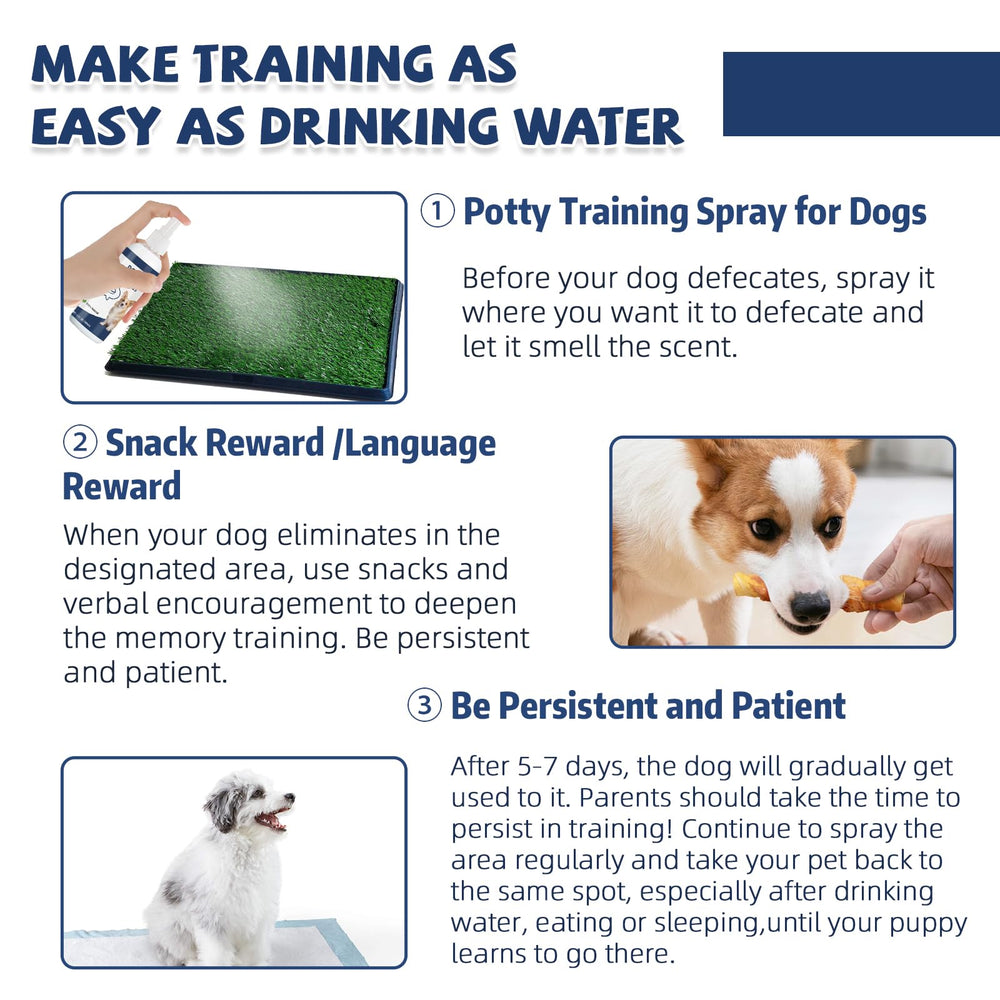 Die-matic praise and treat reinforcement during potty training session.