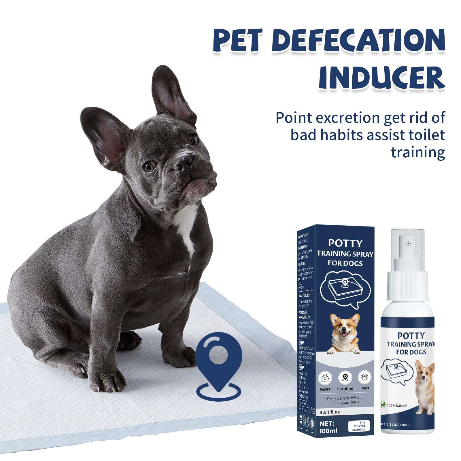 Die-matic puppy-training-mat setup guiding puppy to designated spot.