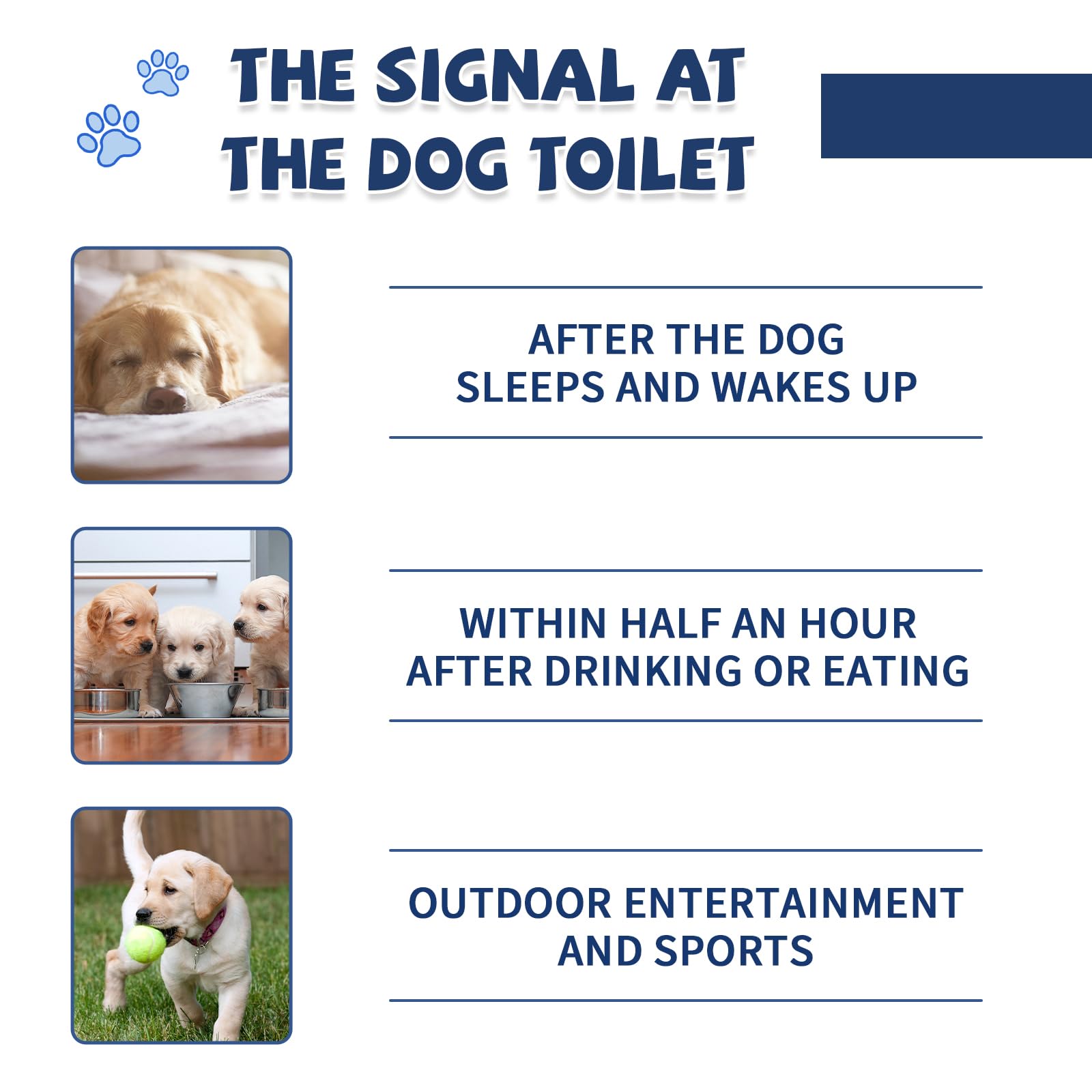 Die-matic 24-hour support provides training guidance for owners.