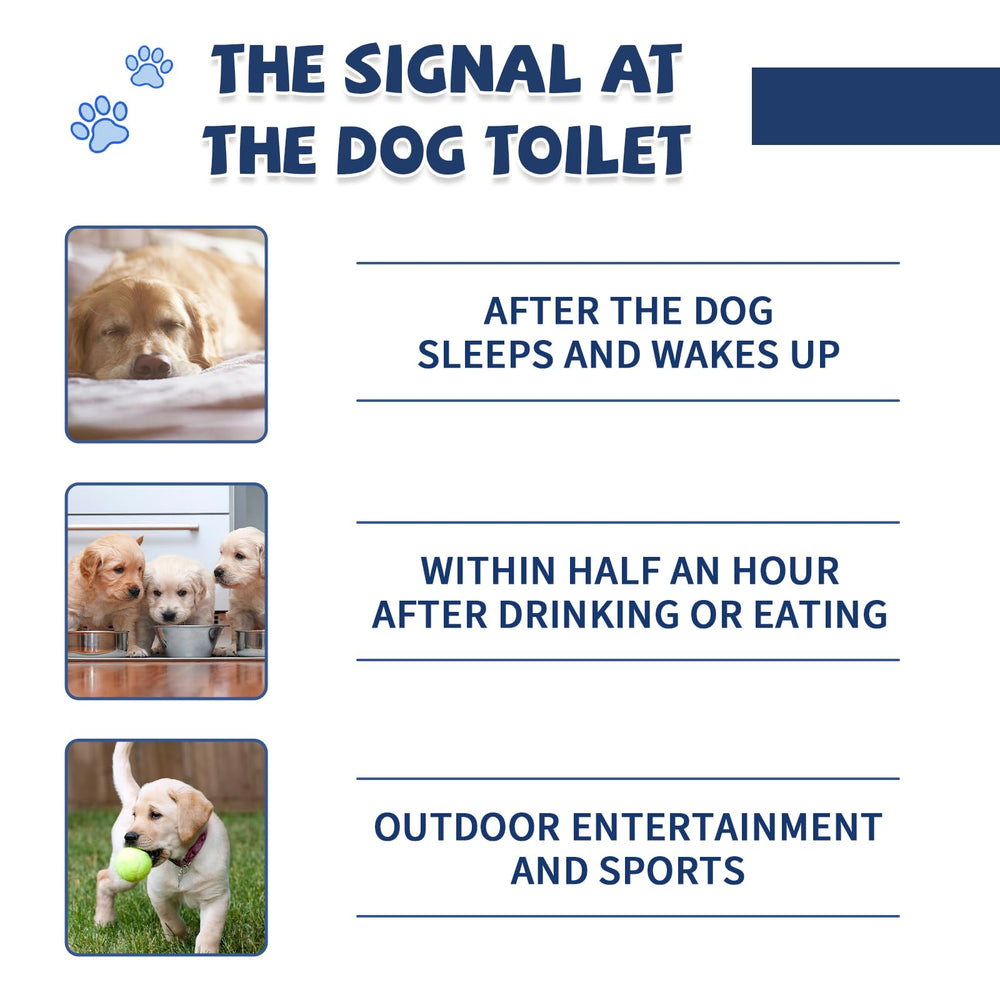 Die-matic 24-hour support provides training guidance for owners.