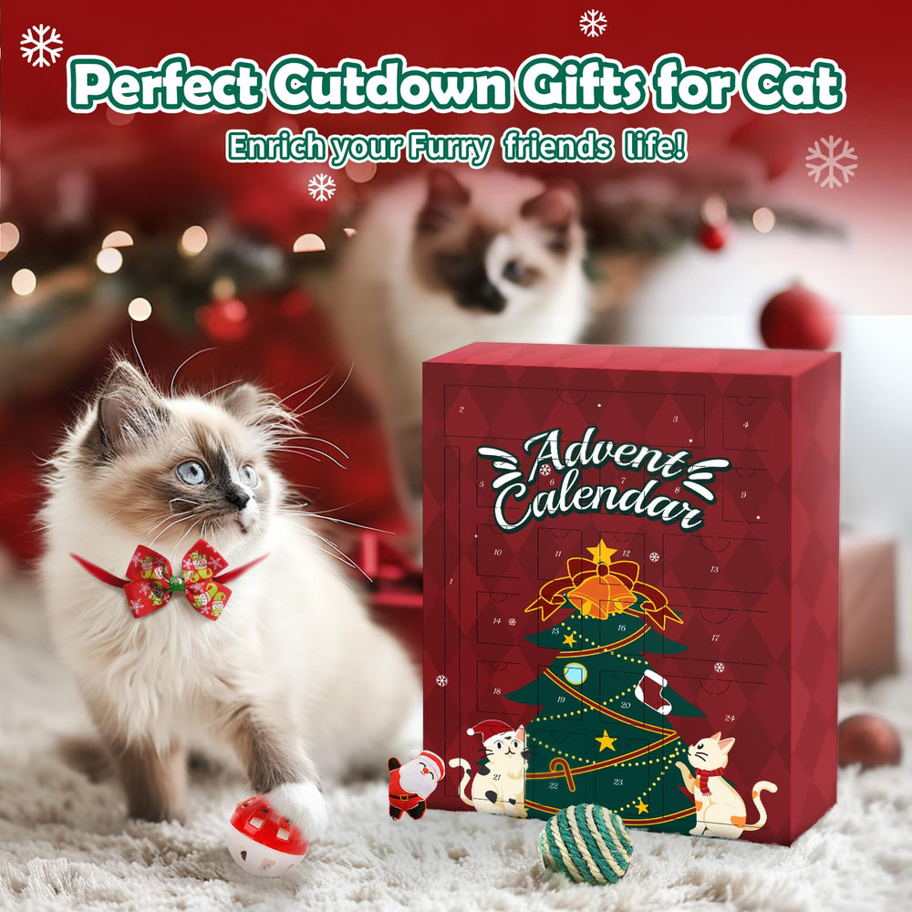 Digchti cat advent calendar gift-ready packaging appeals as a festive gift