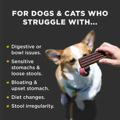 Diggin' Your Dog Firm Up Bars dogs and cats enjoying pumpkin powder flavor