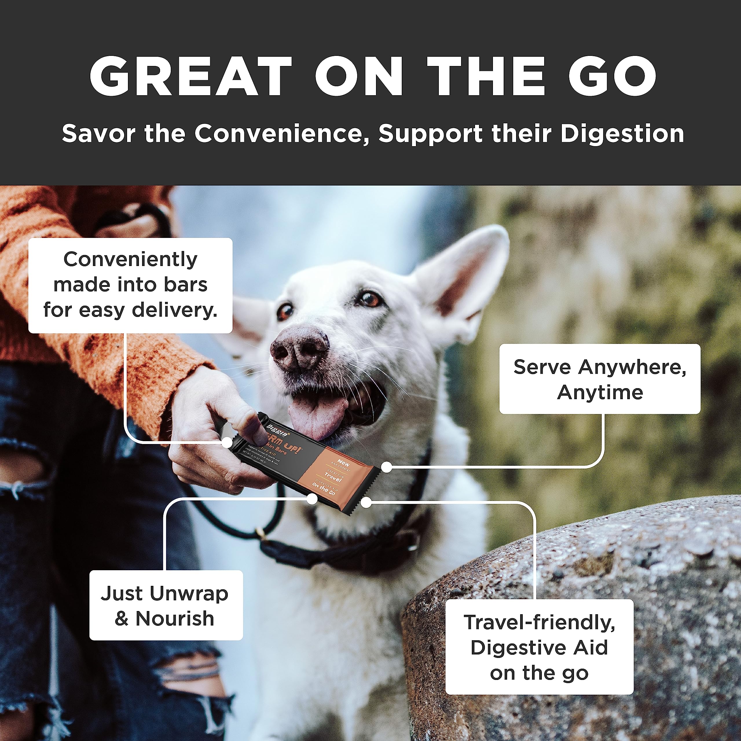 Diggin' Your Dog Firm Up Bars ingredients drum-dried pumpkin highlight natural fiber