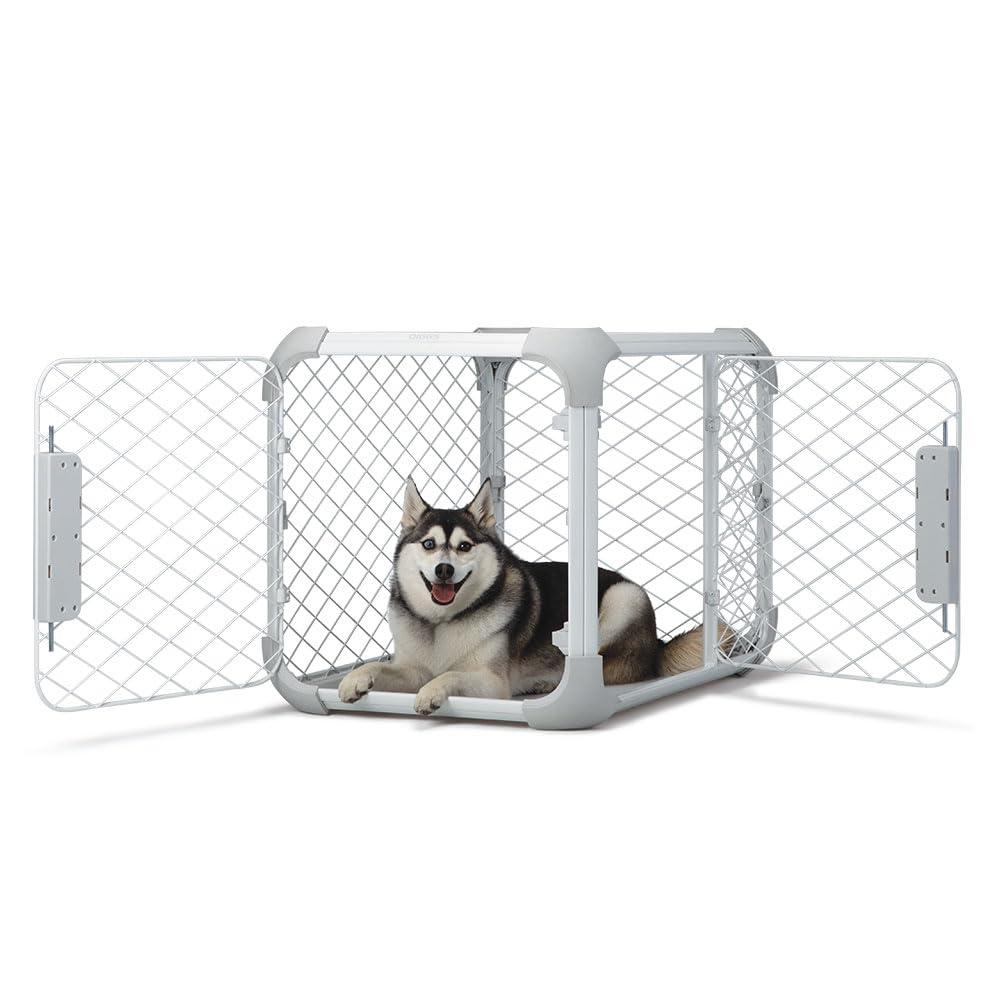 Diggs Evolv ash exterior dog crate showing slim space-saving design for medium dogs