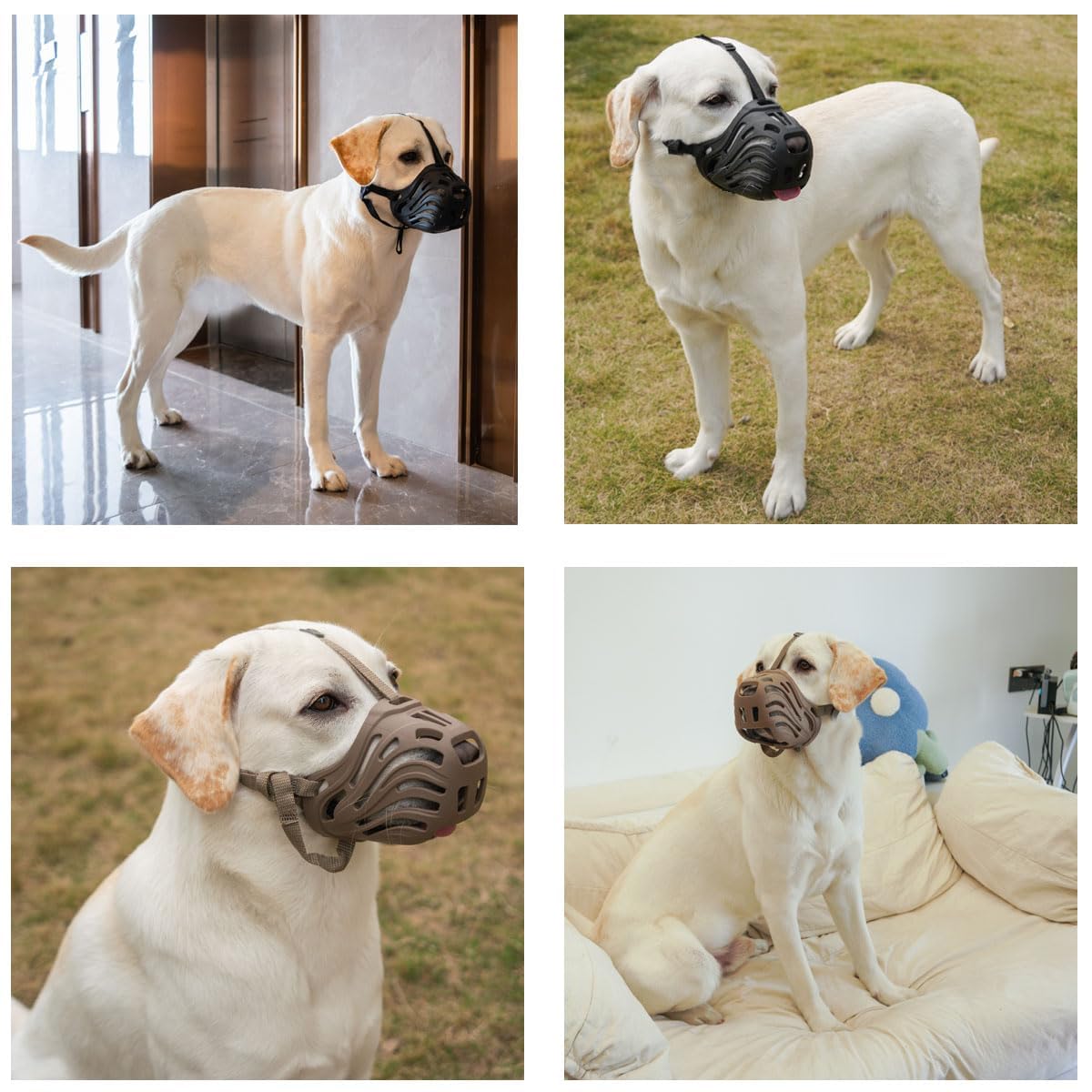 Diketone muzzle for vet and grooming safety with adjustable fit