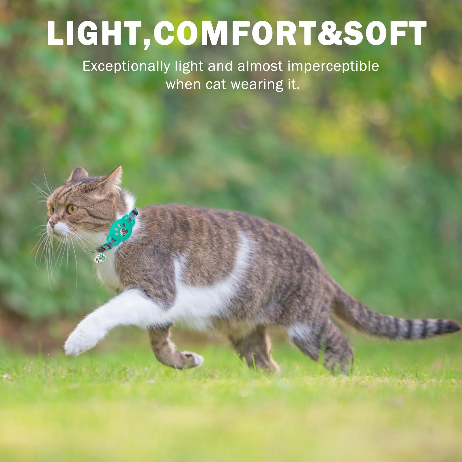 DILLYBUD breakaway buckle provides a safe, adjustable fit for cats and small dogs.