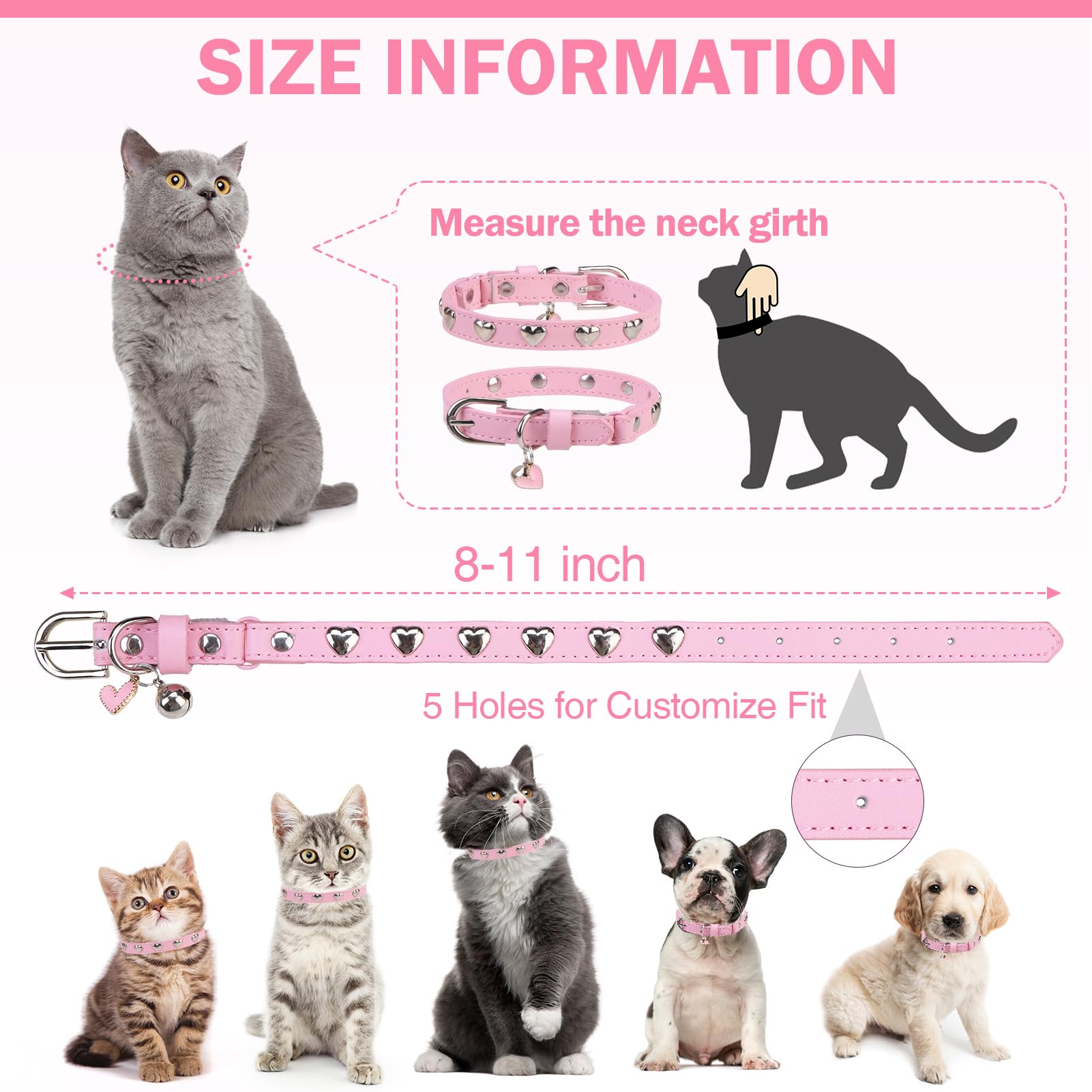 DILLYBUD pink collar ready for outdoor exploration with bell for awareness