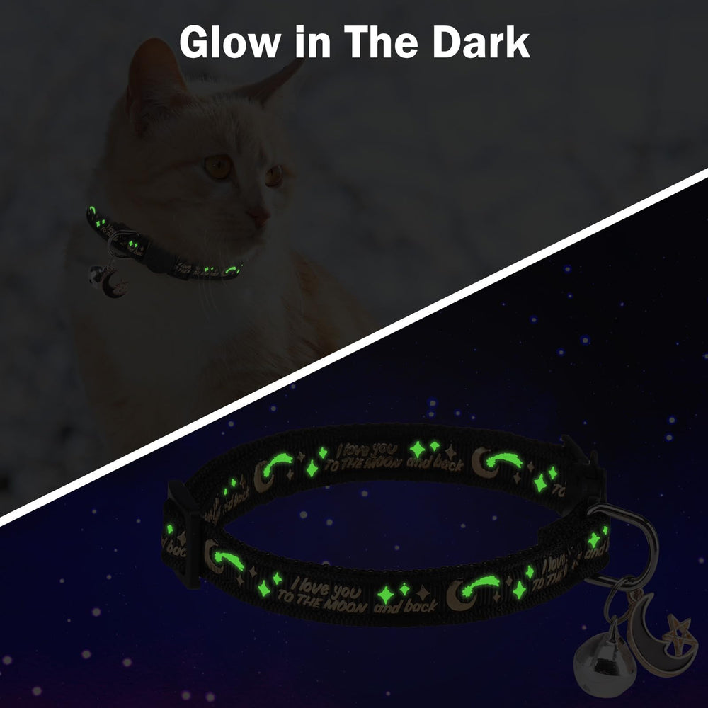 DILLYBUD reflective-design collar improves visibility for safer dusk walks.