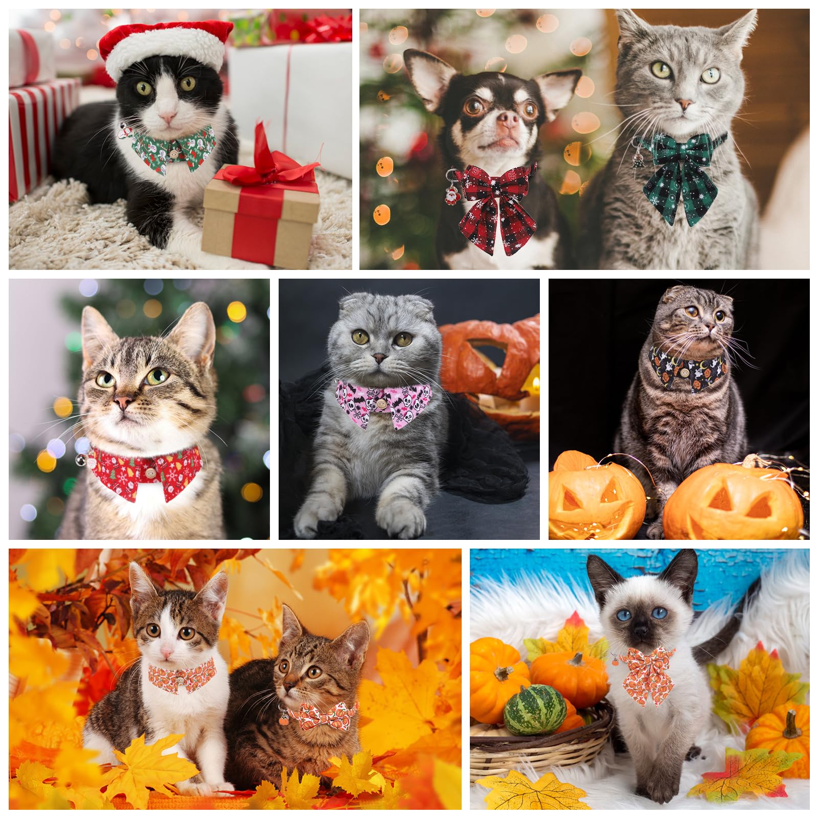DILLYBUD Christmas collar with pendant adds festive charm for photos.