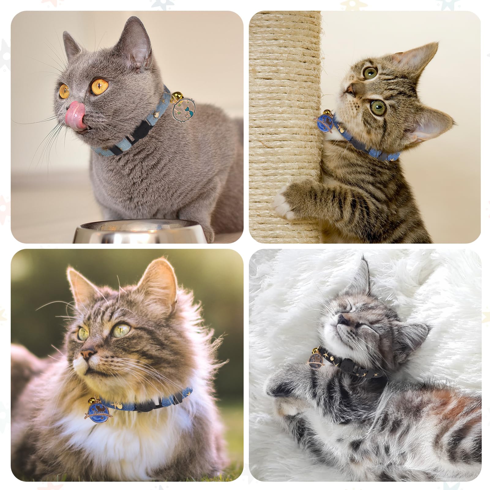 DILLYBUD denim moon stars cat collar showcases playful design for photos.