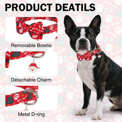 DILLYBUD detachable bowtie detail shows easy on/off and seasonal charm.