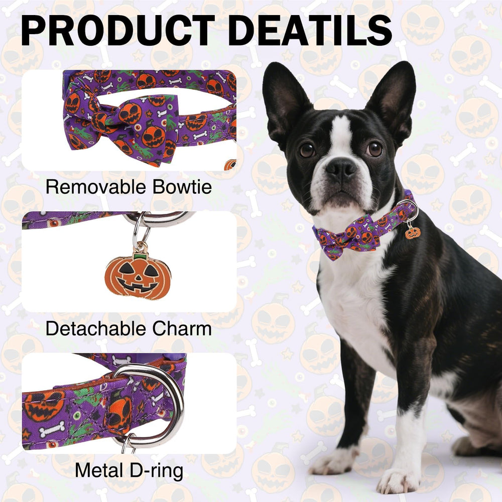DILLYBUD Halloween dog collar safety buckle ensures secure, easy on off walks