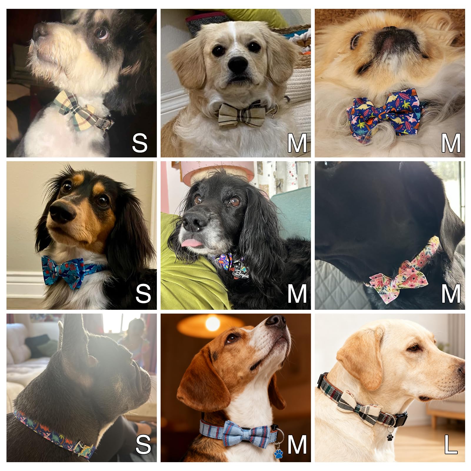 Small 9–15 inch DILLYBUD dog collar showing growth-friendly fit.
