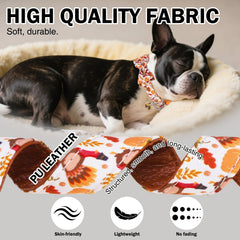 DILLYBUD D-ring leash-ready collar provides reliable leash attachment.