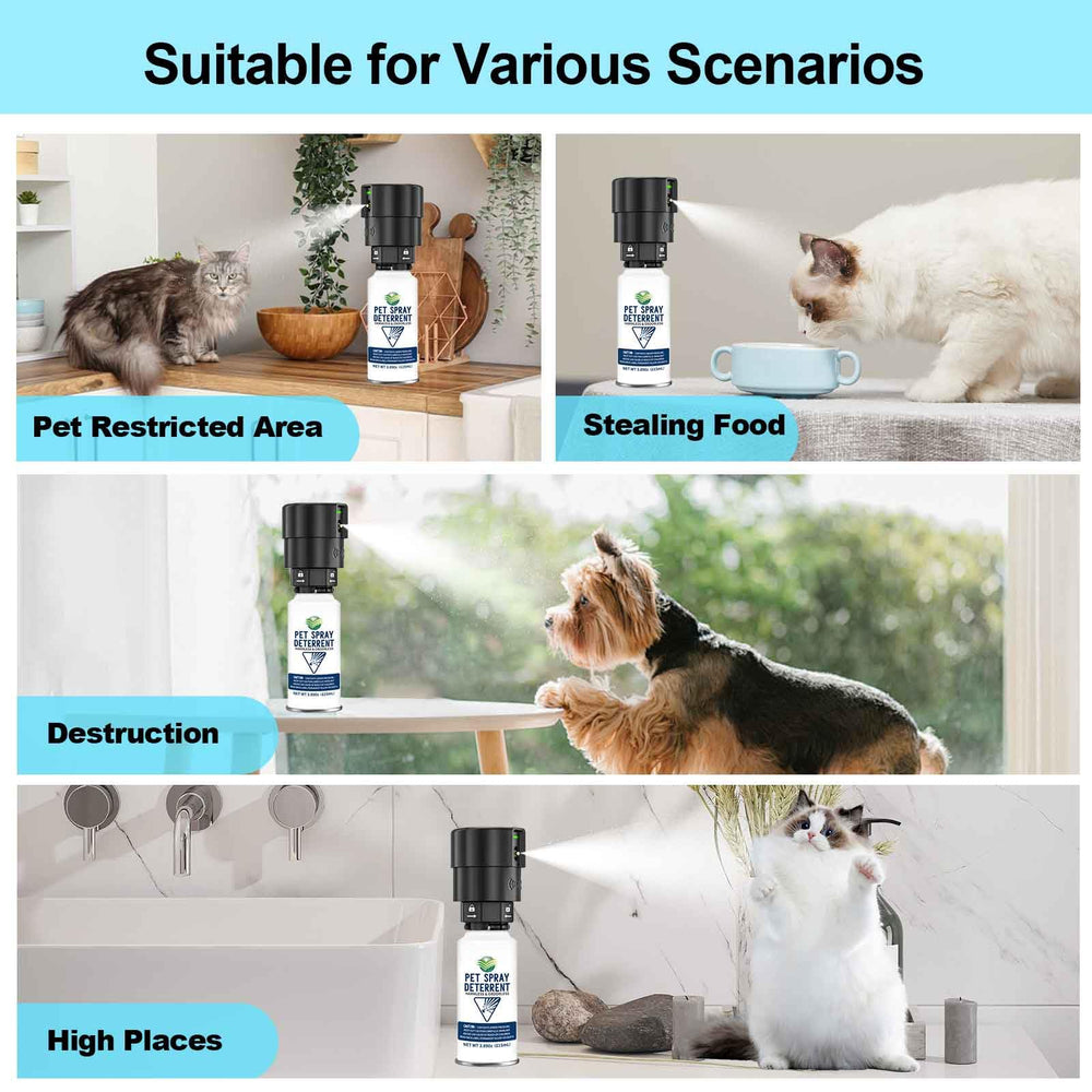 Diloqio cat spray can refill close-up, odorless and safe indoors.