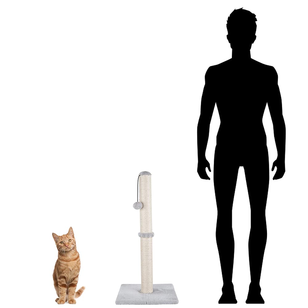 Dimaka cat enjoying full stretch on vertical post.