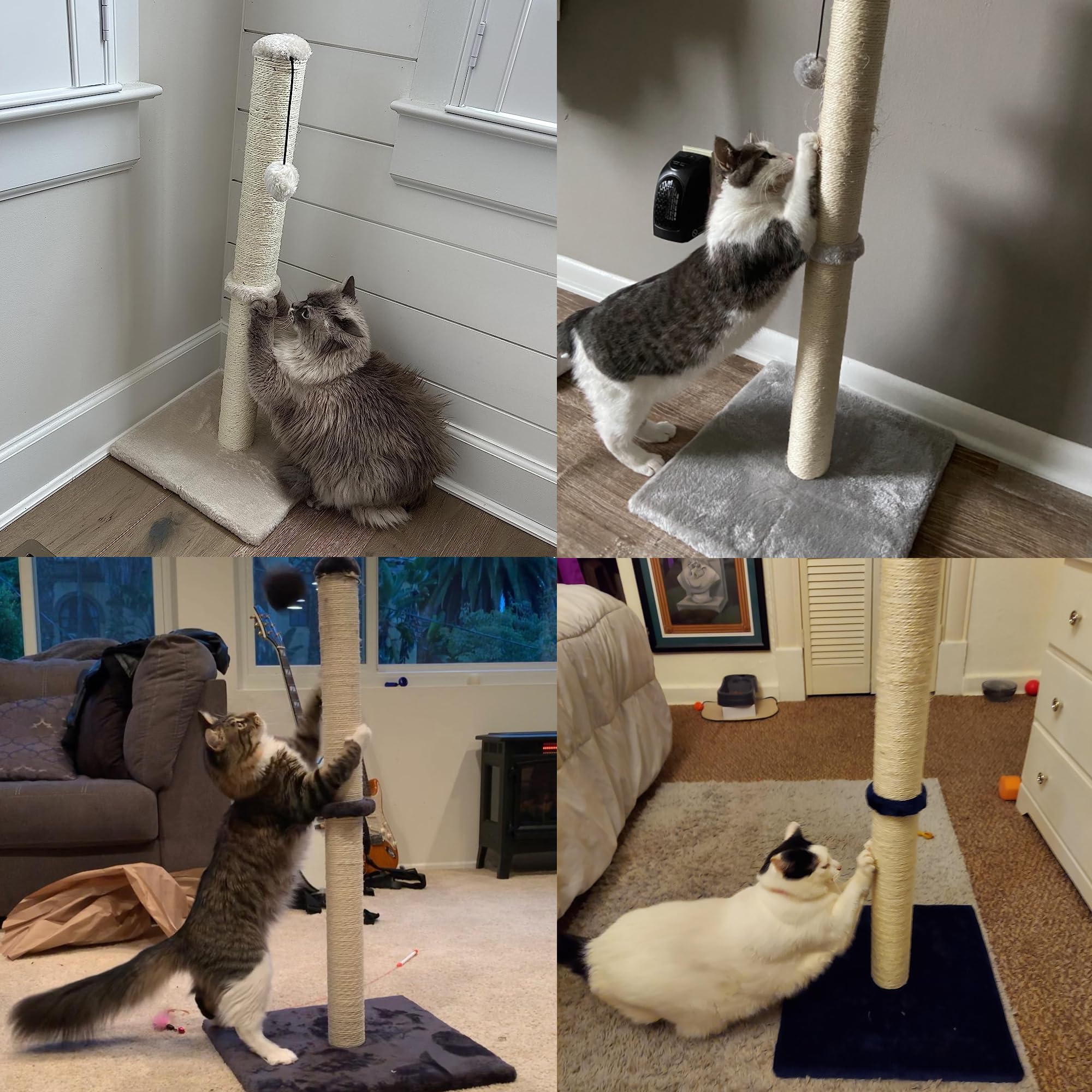 Dimaka cat using post in living room demonstrates vertical scratching.