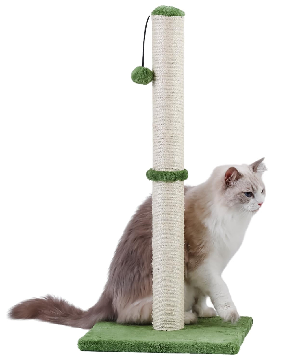 Dimaka green scratching post shown in home use for safe, vertical scratching.