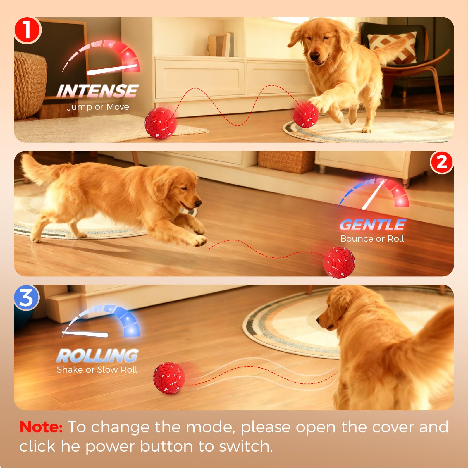 Diman dog ball chase action demonstrates engaging motion for dogs.