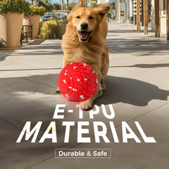 Diman dog ball shell swap highlights easy maintenance and longevity.
