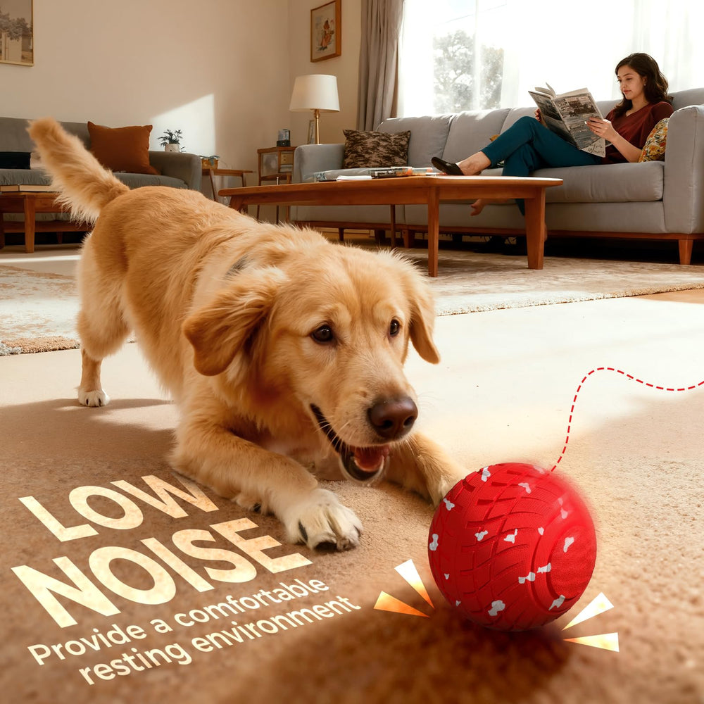 Diman dog ball waterproof design suitable for indoor and outdoor use.