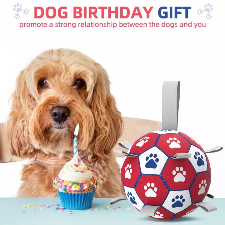 Diman dog balls include air pump for proper inflation and ready play.