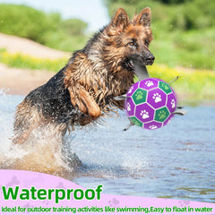 Diman outdoor dog ball with buoyant, water-friendly design.