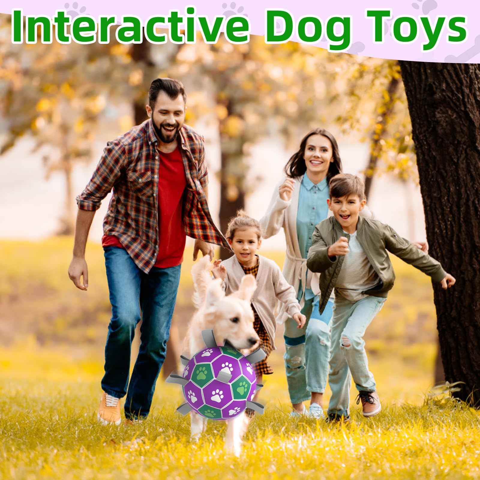 Diman ball highlights two size options for breeds.