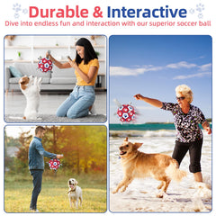 Diman dog balls water-friendly buoyant toy for pool, lake, or beach adventures.