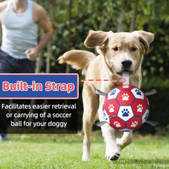 Diman dog soccer ball with hex texture for confident retrieval during games.