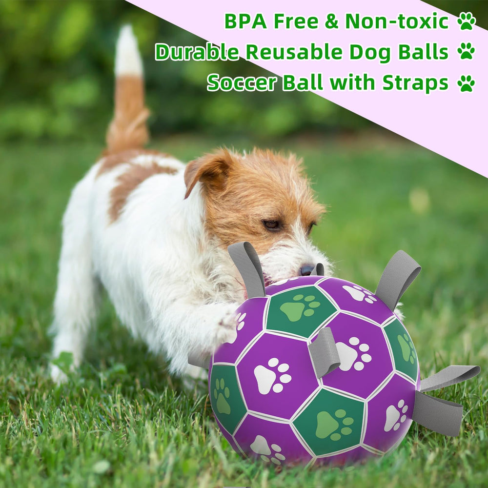 Diman ball available in two sizes for small to large dogs