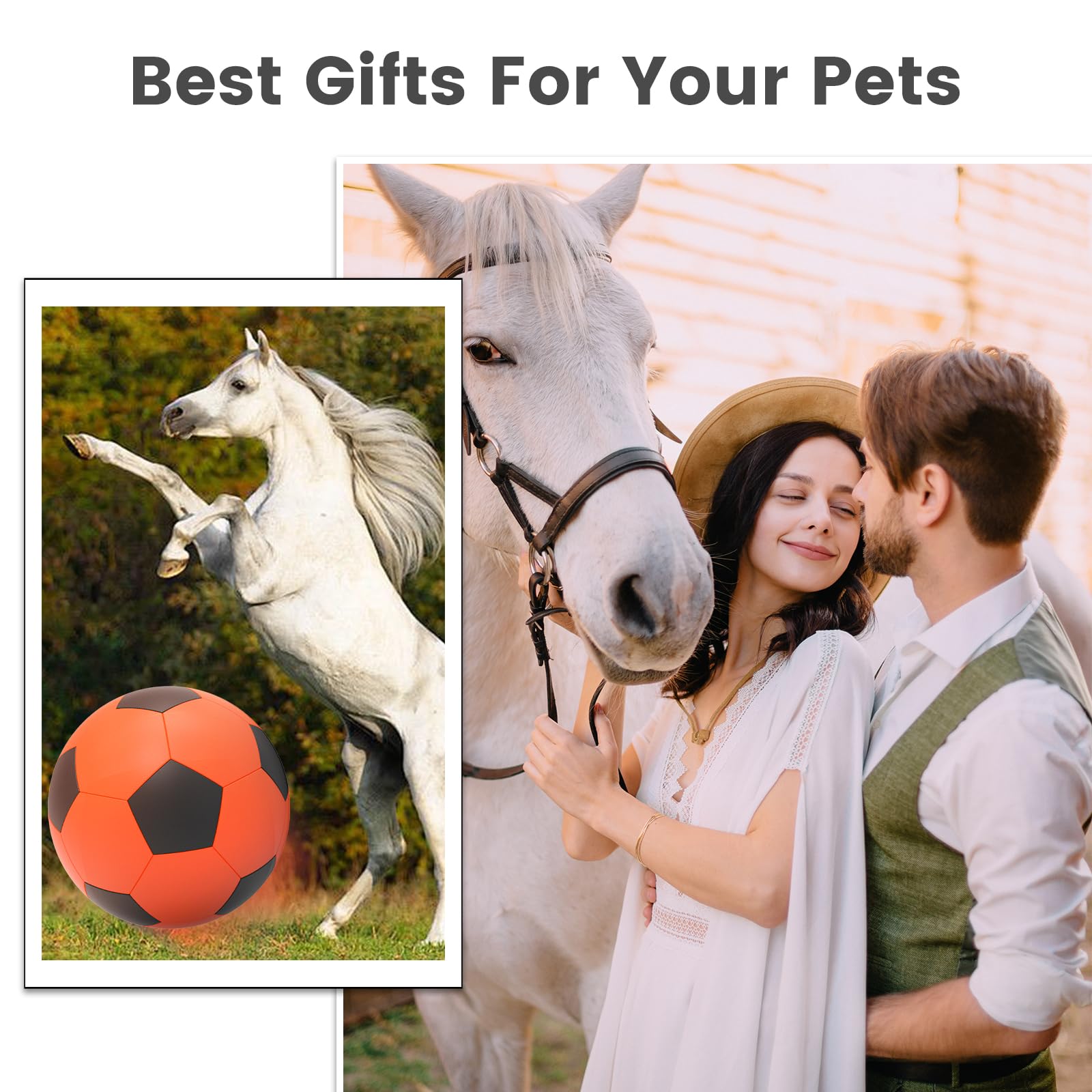 Diman Herding Ball suitable for indoor or outdoor use to keep pets engaged.