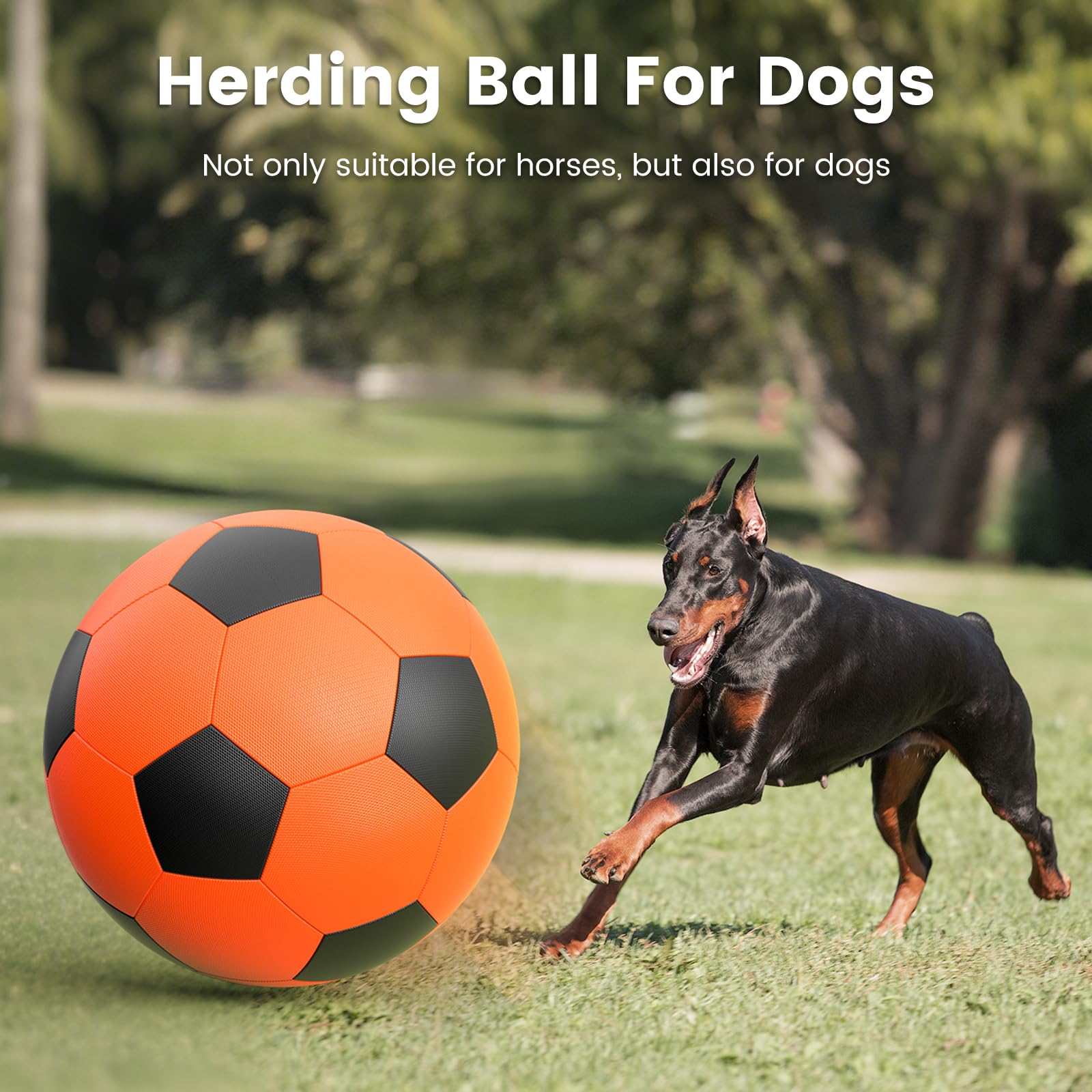Diman Herding Ball water toy for pools and lakes enables splashy play.