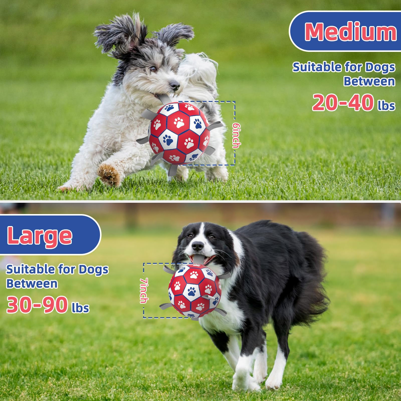 Diman interactive dog toy encourages active play and training sessions.